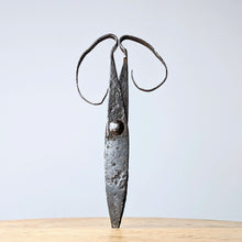 Load image into Gallery viewer, Sculptural Scissors
